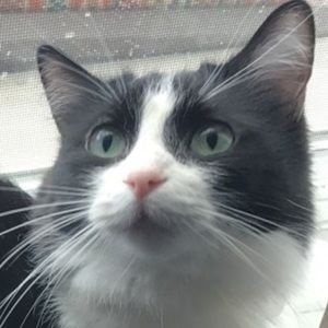 Meet your Posher, Maria